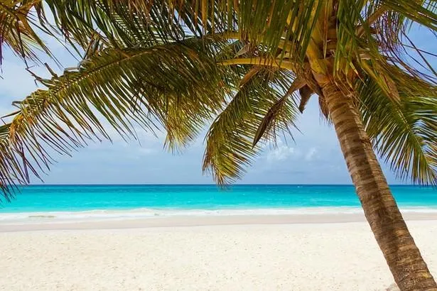 Découvrez les plus belles plages de Marie-Galante