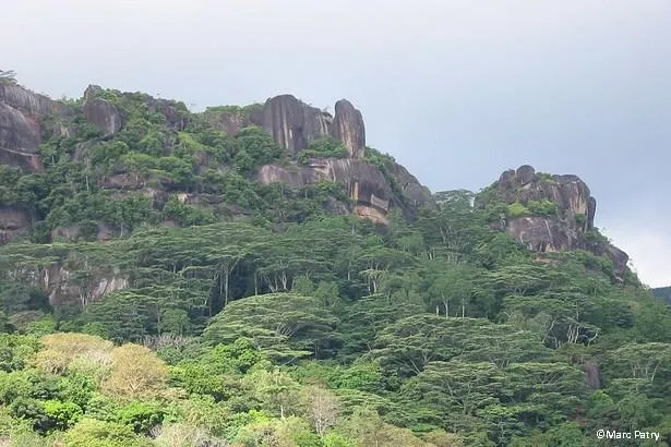 Excursion au cœur de la Vallée de Mai, aux Seychelles