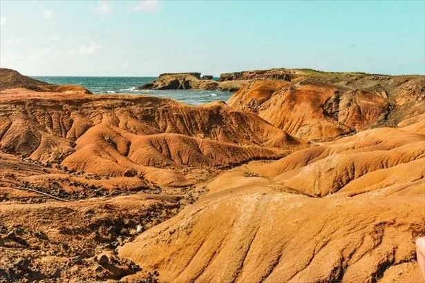 Un lieu étonnant en Martinique : la Savane des Pétrifications