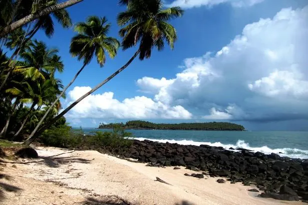 Les îles du Salut : une visite incontournable en Guyane