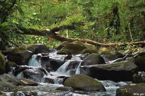 Découvrez le Parc National de la Guadeloupe