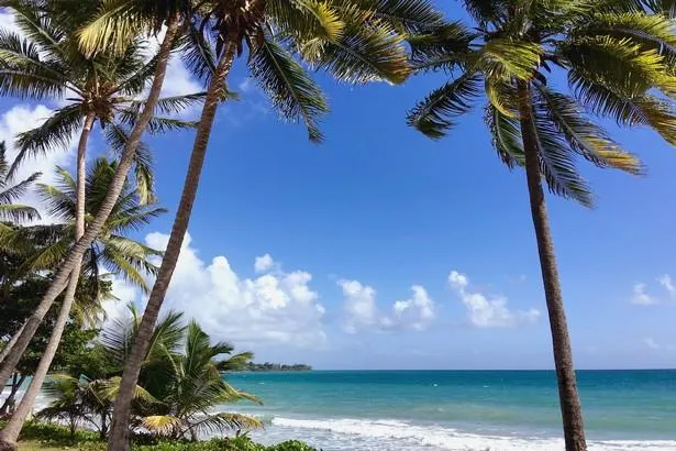 Explorez les îlets au large du Robert, sur l’île de la Martinique