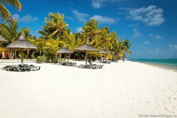 Top 6 des plus belles plages de l’île Maurice