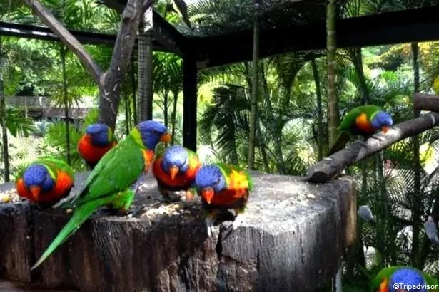 Habitation Latouche, un cadre unique au cœur de la Martinique