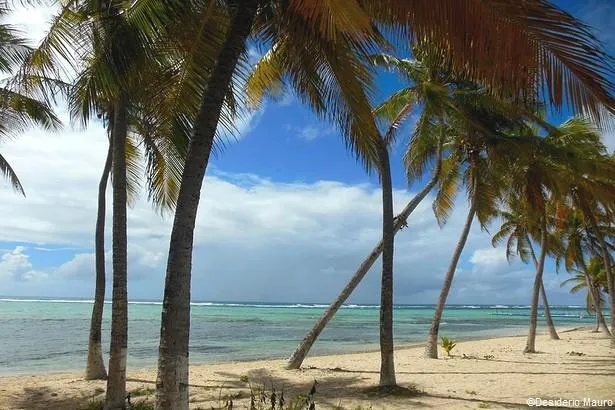 Île de la Désirade : découvrez cette chaleureuse île guadeloupéenne