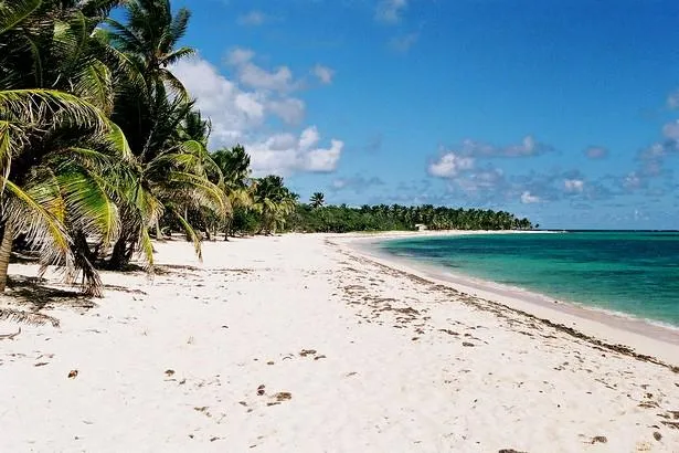 Marie-Galante : Découvrez le charme de Capesterre !