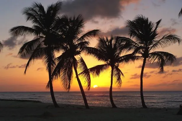 Explorez Anse-Bertrand, sur la côte sauvage de la Guadeloupe