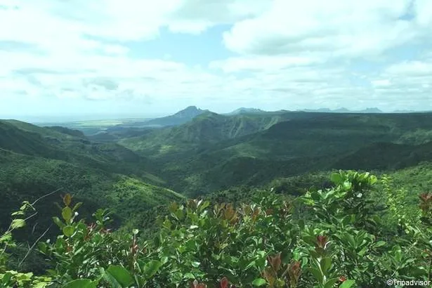 Découvrez Trou-aux-cerfs, le cœur volcanique de l'Île Maurice