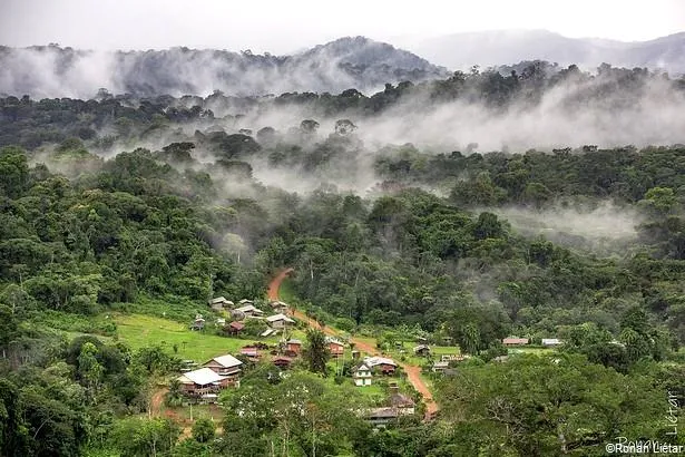 Le Parc National Amazonien, territoire protégé de la Guyane