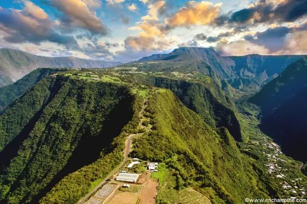 Réunion : balade dans le labyrinthe en champ thé