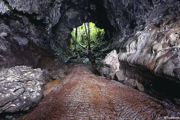 La Réunion : explorez ses tunnels de lave