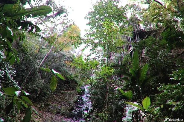 Martinique : Découvrez la cascade d'Anba So à Fond Lahaye