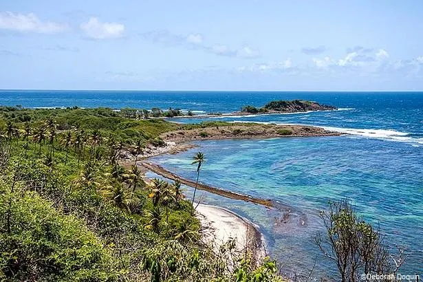 Les 6 plus belles randonnées à faire en Martinique