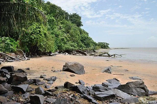 Que visiter en Guyane avec des enfants ?