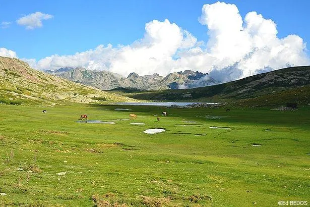 Explorez le Parc naturel régional de Corse !