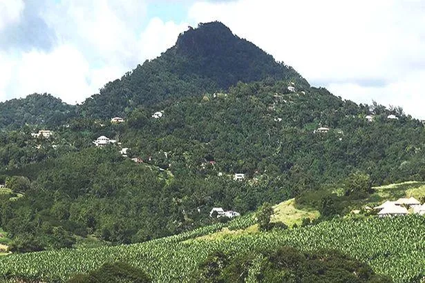 Martinique : Tout savoir sur la montagne du Vauclin