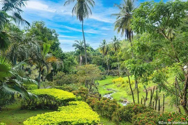 Martinique : Découvrez 7 parcs et jardins de l’île !