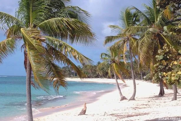 Les 6 visites à faire au Sud de l’île de Marie-Galante