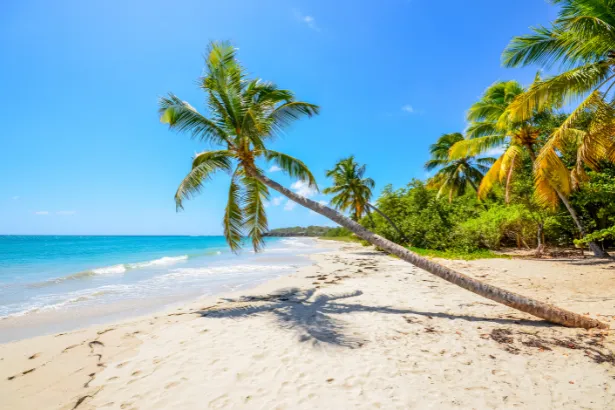 Où partir en vacances sans avoir besoin d’un passeport ? 