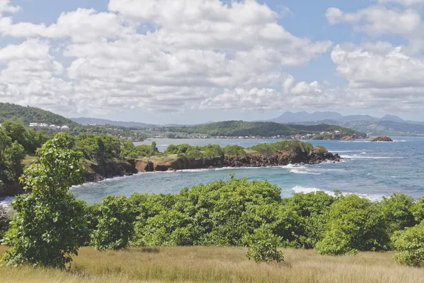 6 idées de visites à l’Est de la Martinique ! 