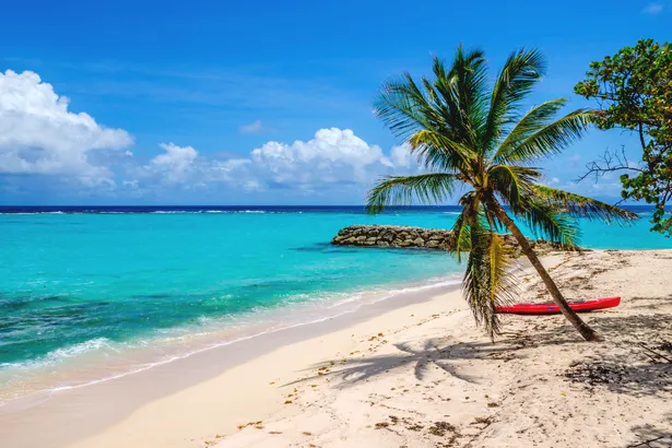 Pourquoi visiter la Guadeloupe ? Toutes nos bonnes raisons !