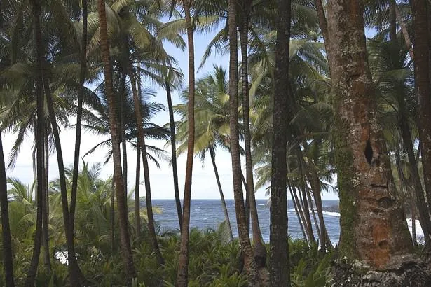 Voici notre idée d’itinéraire de 10 jours en Guyane