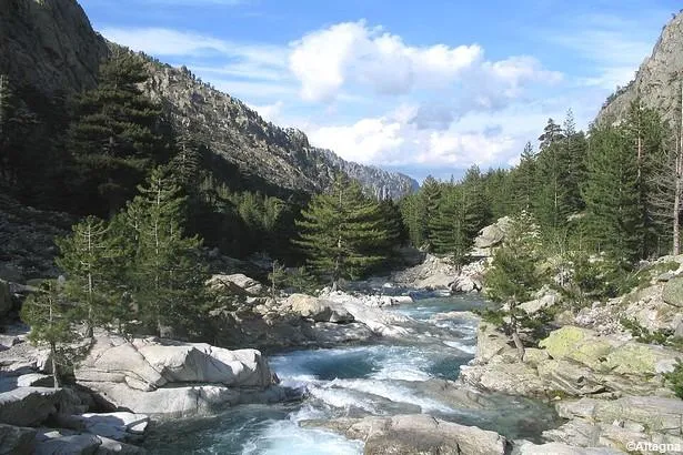 Les gorges de la Restonica en Corse, à voir absolument !