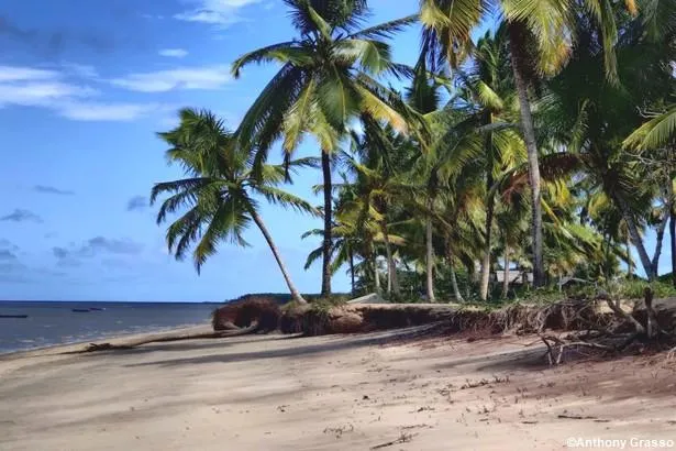 Guyane : explorez la réserve naturelle d’Amana