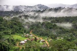 Le Parc National Amazonien, territoire protégé de la Guyane