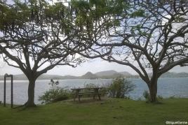 Découvrez Le Marin et ses environs, en Martinique !