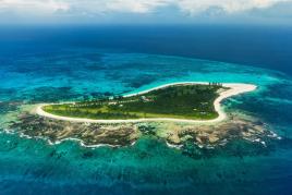 Bird Island, le paradis des oiseaux aux Seychelles
