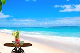 Martinique : 7 distilleries à découvrir sur l’île