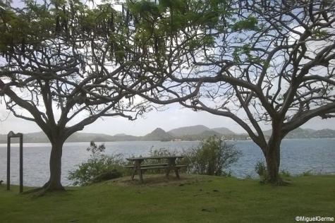 Découvrez Le Marin et ses environs, en Martinique !