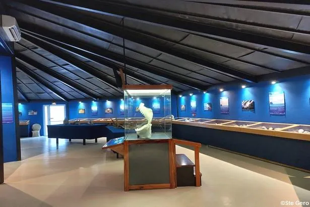 Visite du musée du coquillage et de la mer, en Martinique