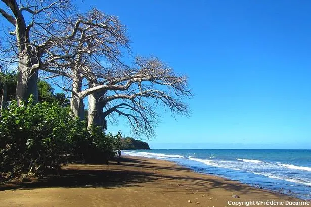 Mayotte : 5 visites à faire à Bandrélé 