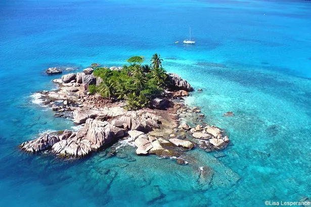 Les Seychelles : voici les 7 meilleurs spots de plongée !