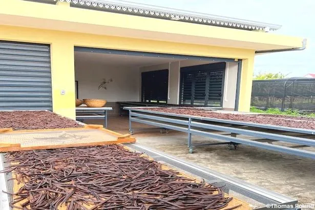 La Réunion : découverte de la plantation Vanille Roulof 