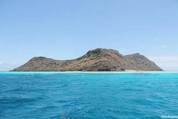 Où voir des tortues marines à Mayotte ?