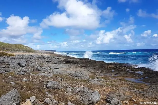 Marie-Galante : Excursion à la plaine des Galets