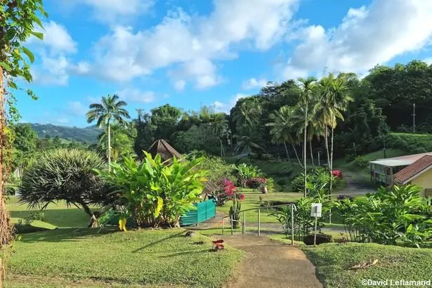 Martinique : visite du musée de la banane