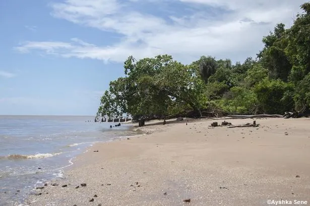Guyane : que visiter à Awala-Yalimapo ?
