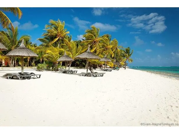 ile maurice plages paradisiaques