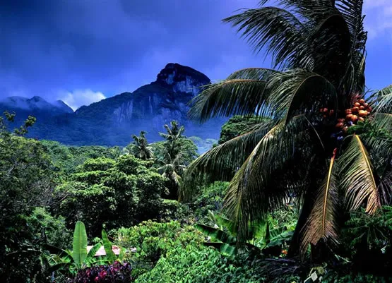 Le morne Seychellois