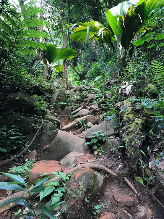 Sentier Morne Blanc