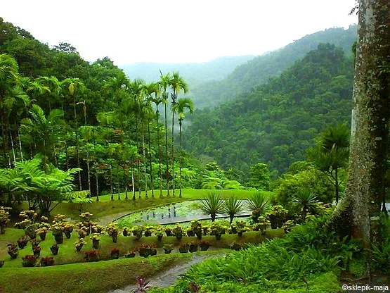 jardin balata martinique