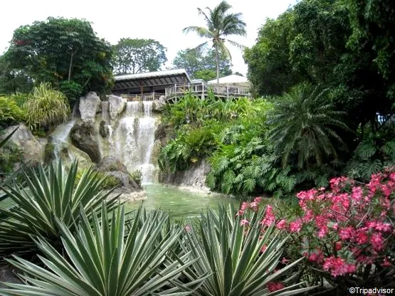 jardin botanique deshaies