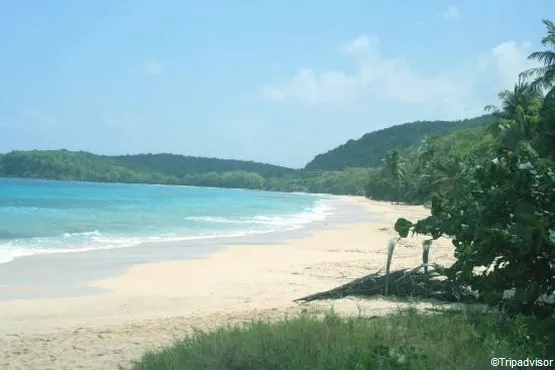 anse de mays marie-galante