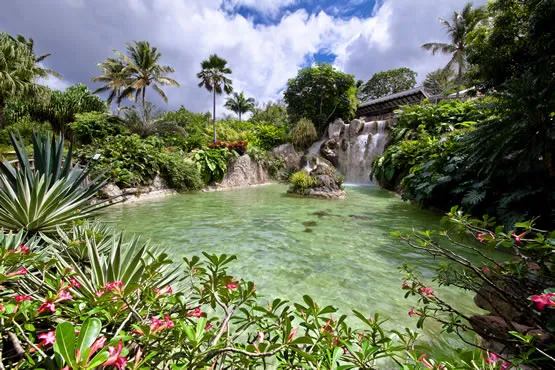 Le jardin botanique de Deshaies