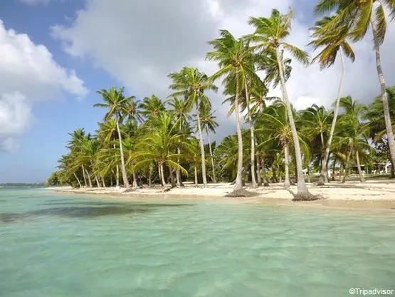 plage de bois jolan