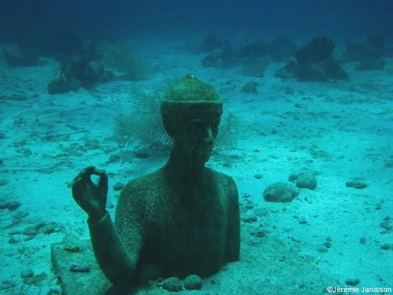 cousteau